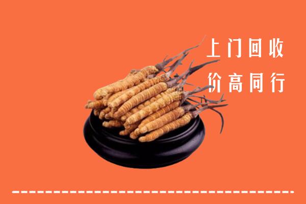 高价求购：六合区回收散虫草