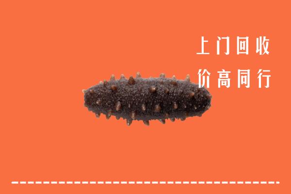 高价求购：六合区回收海参