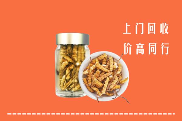 六合区回收冬虫夏草