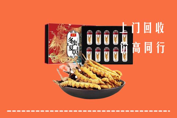 六合区回收虫草